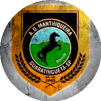 Logo Academia Desportiva Manthiqueira Futebol Ltda